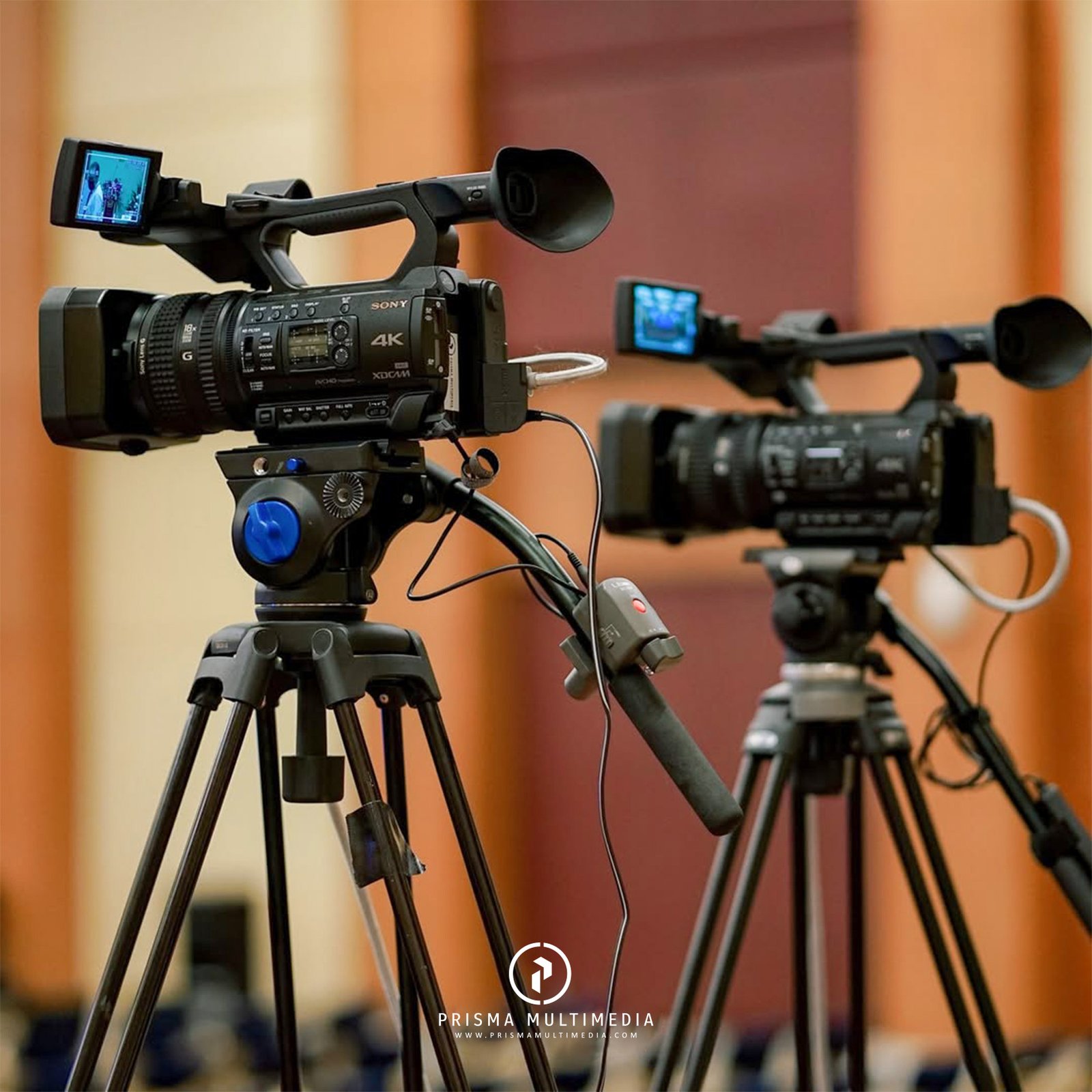 jasa multicamera