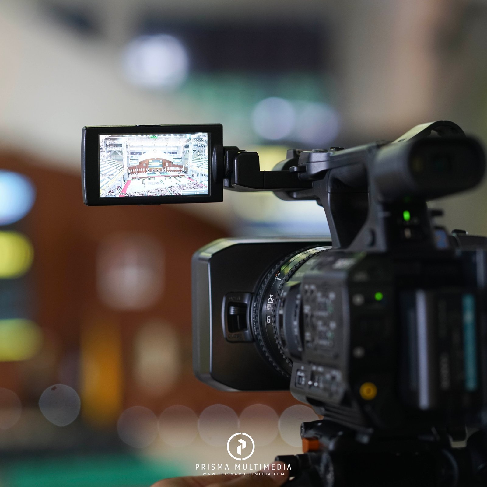 jasa multicamera